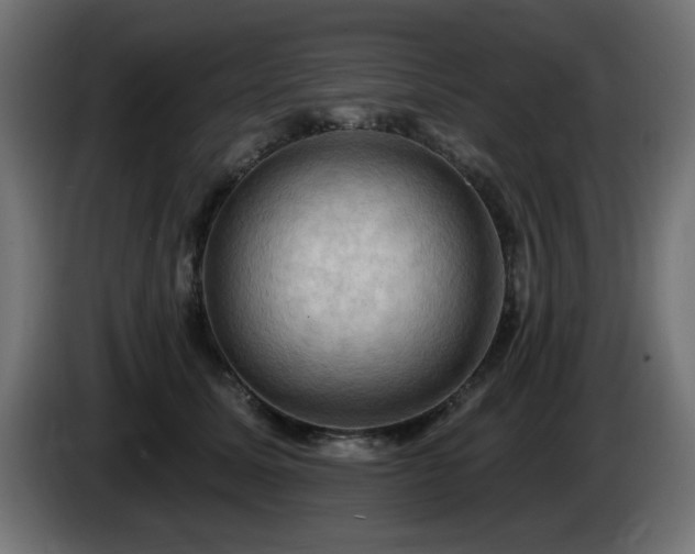 X0000085060611200703051440