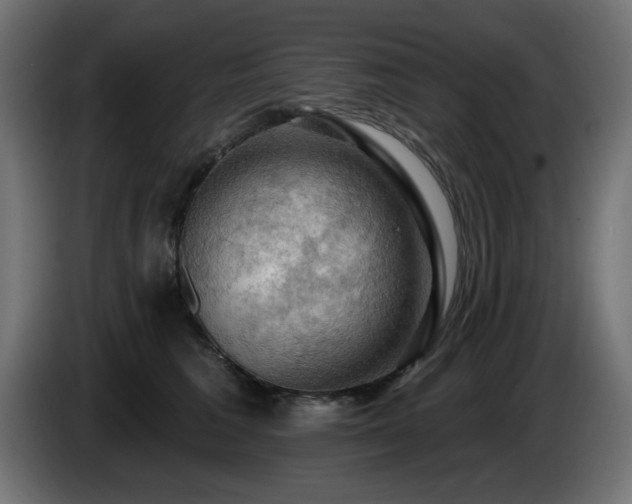 X0000085060613200703051440