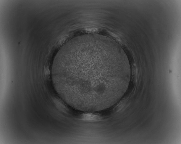 X0000085060614200703051440