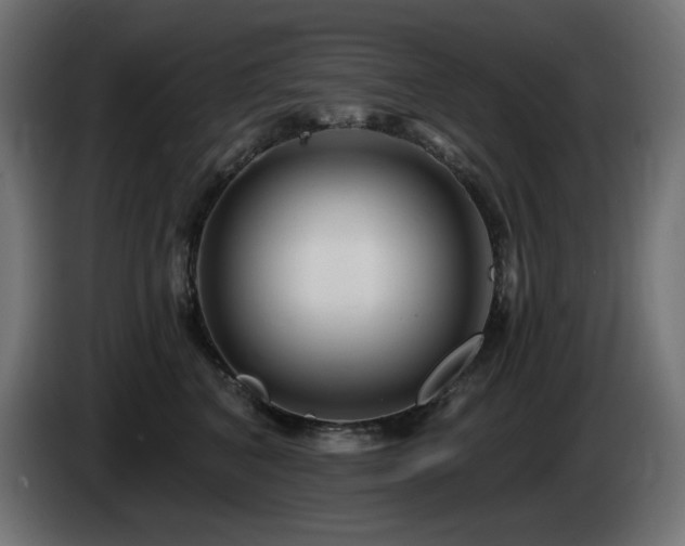 X0000085060616200703051440