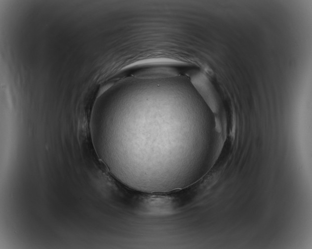 X0000085060617200703051440