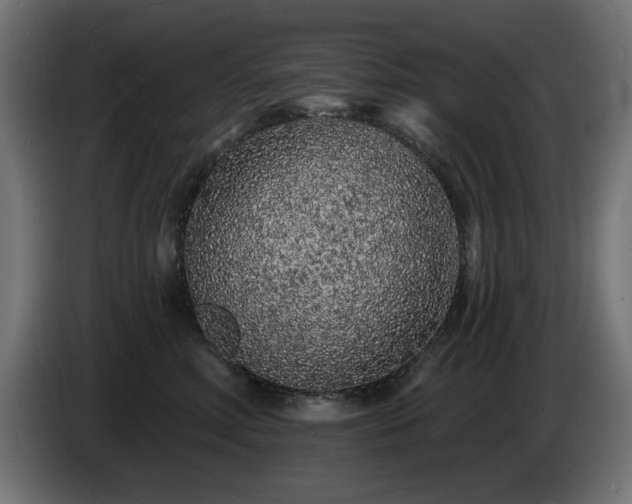 X0000085060618200703051440