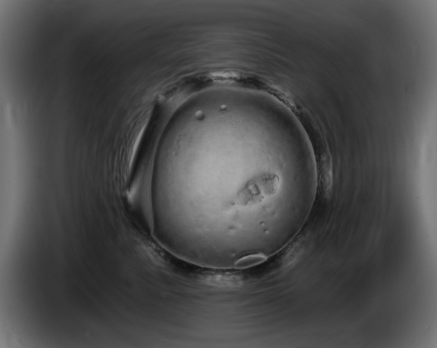 X0000085060619200703051440