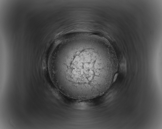 X0000085060620200703051440