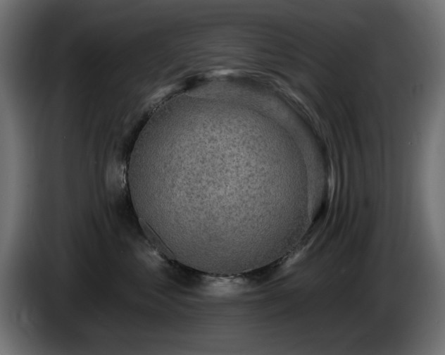 X0000085060621200703051440