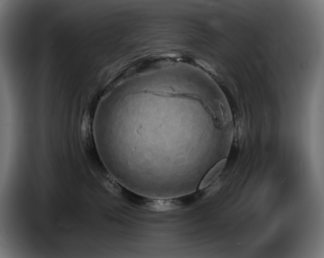 X0000085060623200703051440