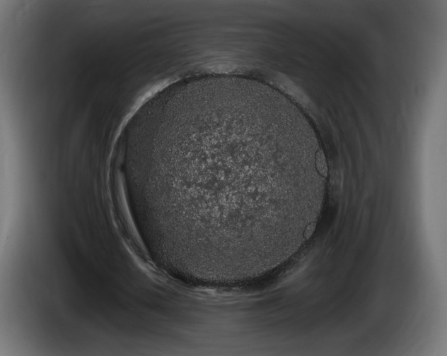 X0000085060626200703051439