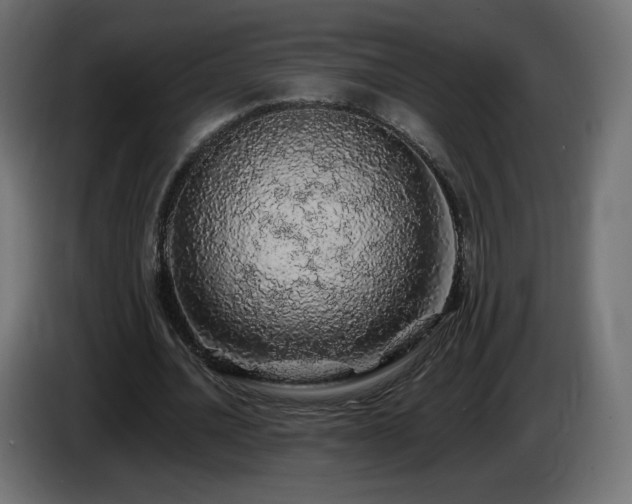 X0000085060628200703051439