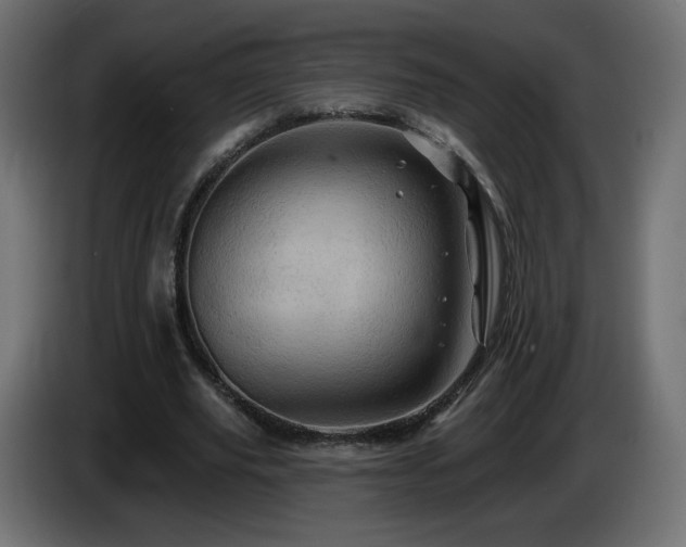 X0000085060629200703051439