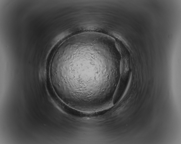 X0000085060630200703051439