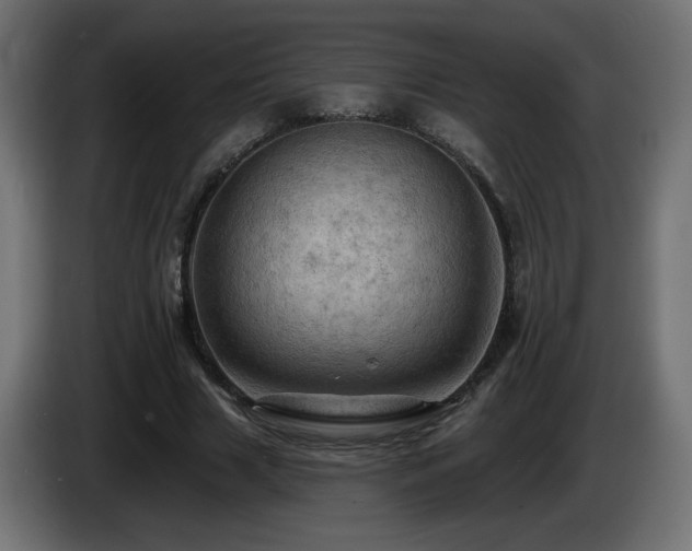 X0000085060633200703051439