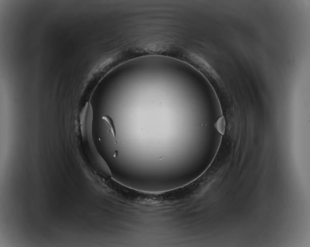 X0000085060635200703051439