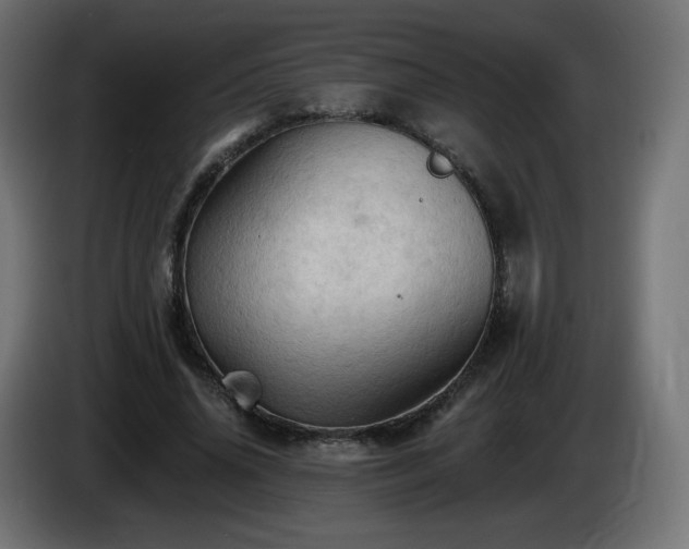 X0000085060636200703051439