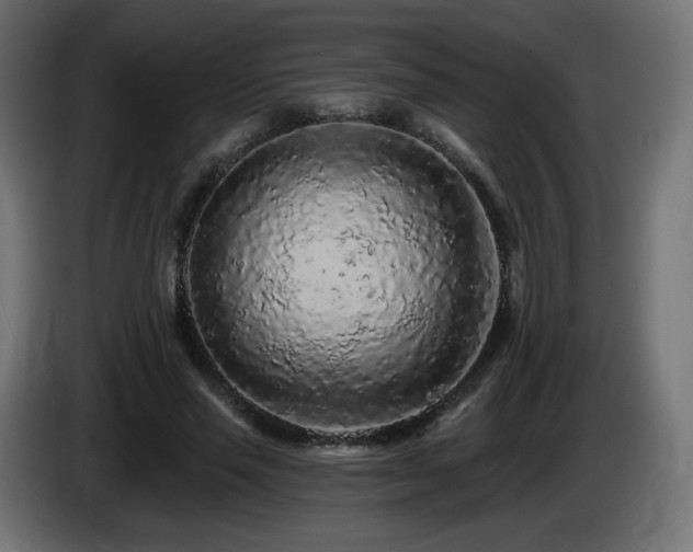 X0000085060637200703051440