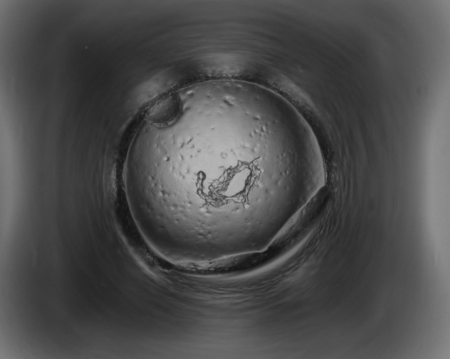 X0000085060638200703051440