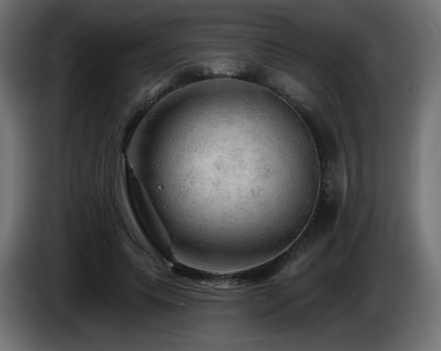 X0000085060639200703051440