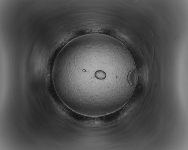 X0000085060642200703051440