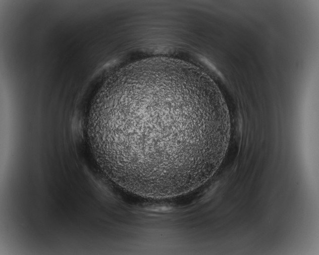 X0000085060643200703051440