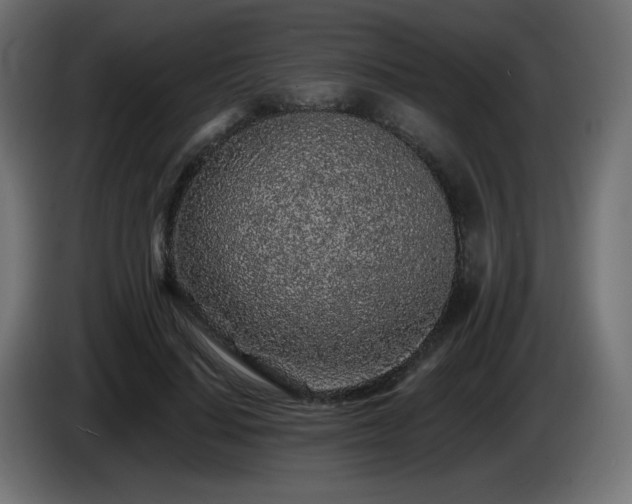 X0000085060644200703051440