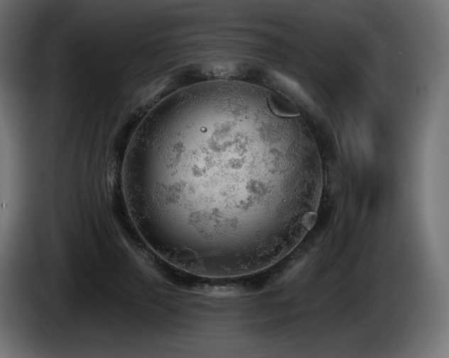 X0000085060645200703051440