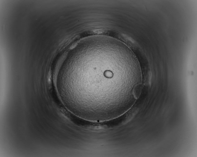 X0000085060646200703051440