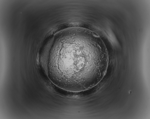 X0000085060647200703051440