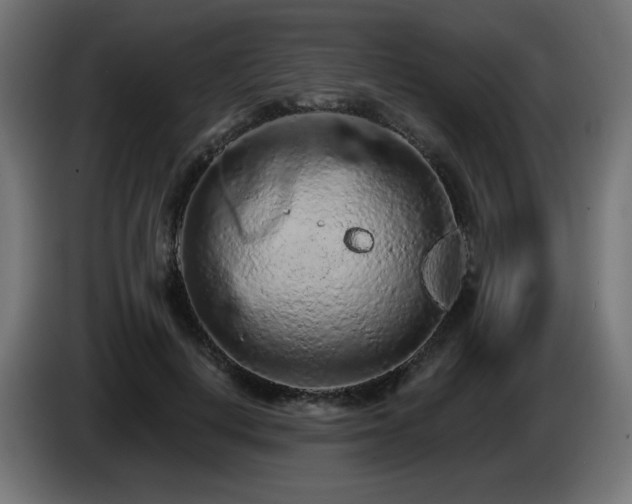 X0000085060648200703051440