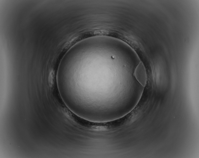 X0000085060649200703051440