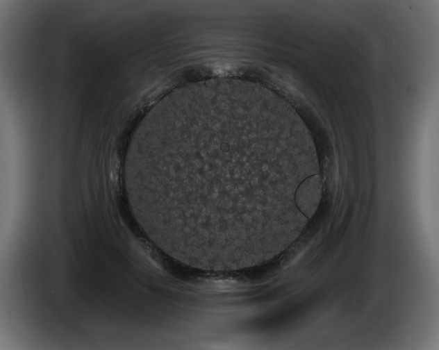 X0000085060650200703051440