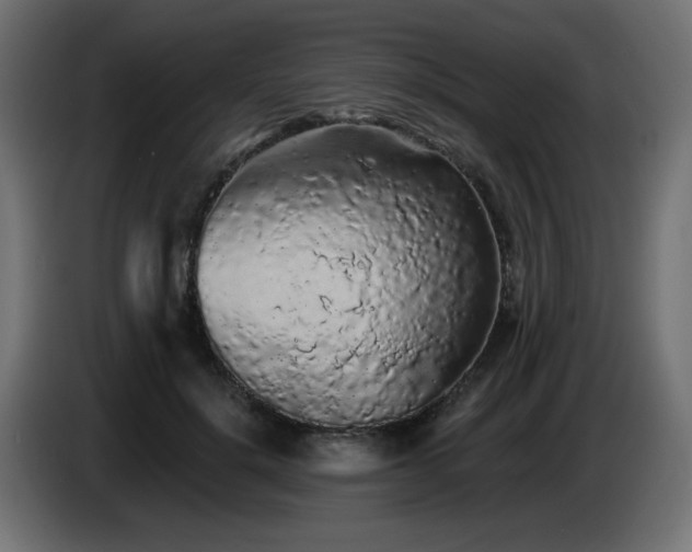 X0000085060652200703051440