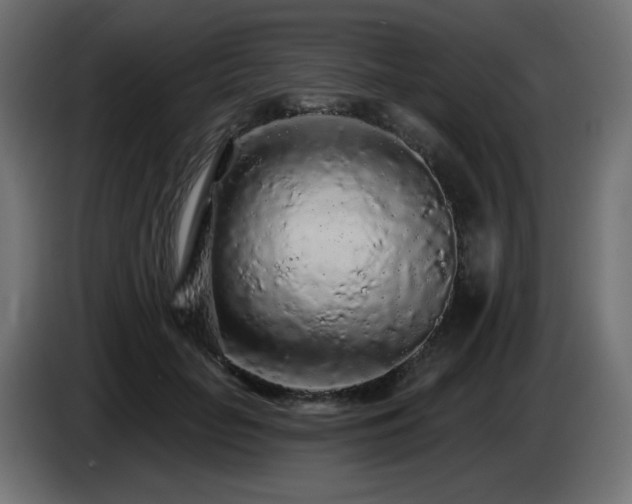 X0000085060653200703051440