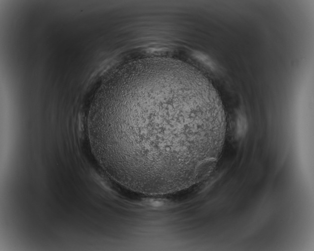 X0000085060654200703051440