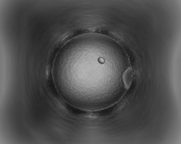 X0000085060656200703051440