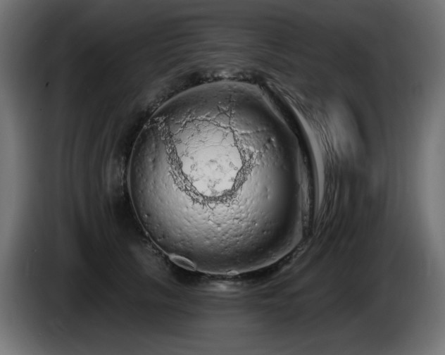 X0000085060657200703051440