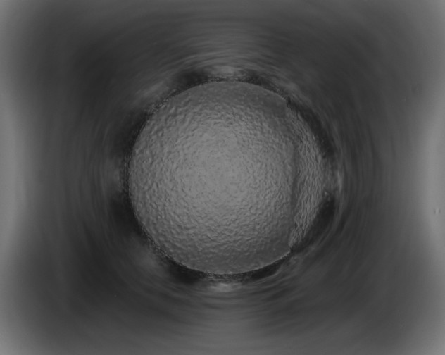 X0000085060658200703051440