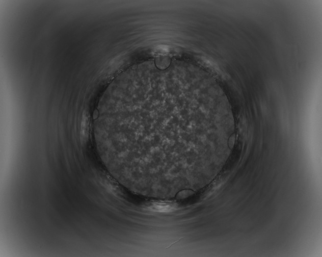 X0000085060659200703051440