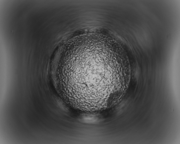 X0000085060661200703051440