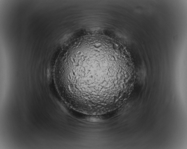 X0000085060662200703051440