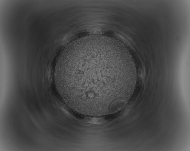 X0000085060663200703051440