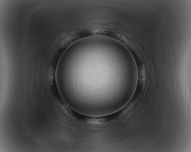 X0000085060664200703051440
