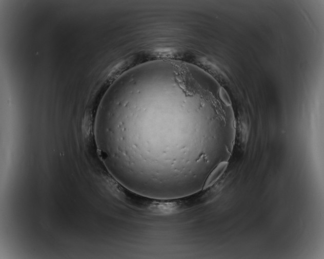 X0000085060665200703051440