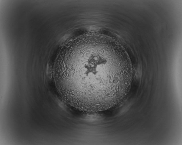 X0000085060666200703051440