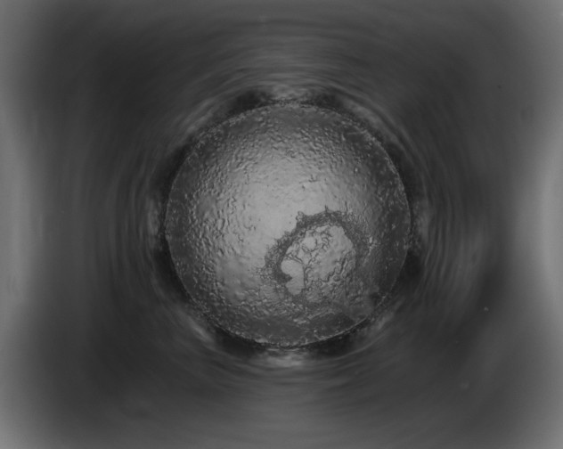 X0000085060667200703051440
