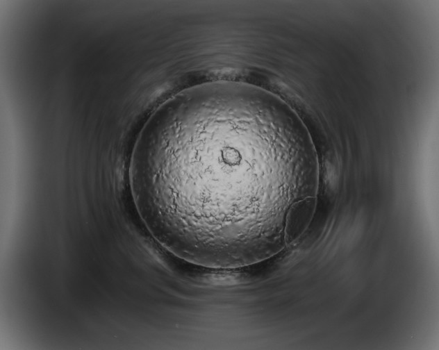 X0000085060668200703051440