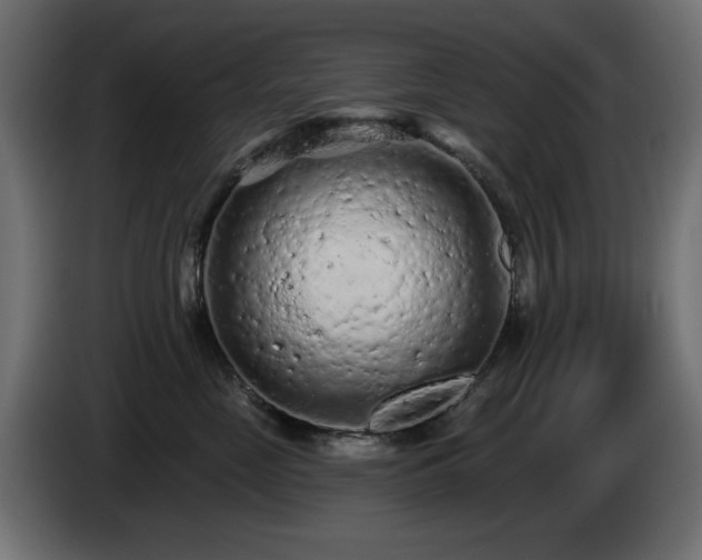 X0000085060669200703051440