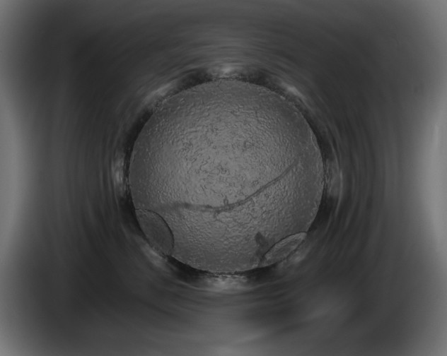 X0000085060670200703051440