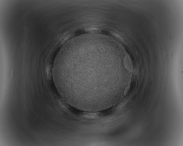 X0000085060671200703051440