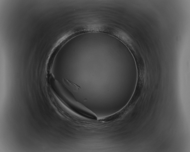 X0000085060674200703051439