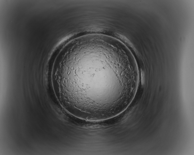 X0000085060675200703051439