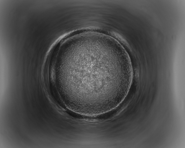 X0000085060676200703051439